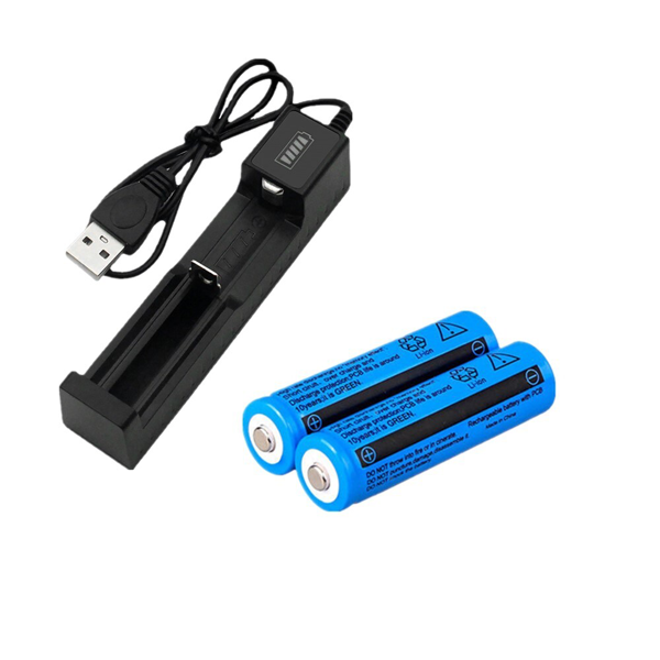 4块3000mAh 18650可充电电池+2个USB充电器套装用于手电筒头灯-7