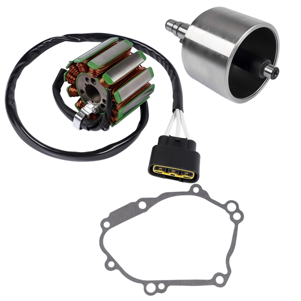 定子线圈和飞轮 Stator & Flywheel Gasket Fit for Yamaha YZF R1 50th Anniversary Limited Edition 2006-6