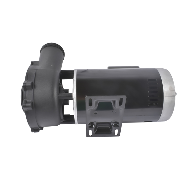 泳池水泵 4 HP 230V 2-Speed Executive 56 Frame Spa Pump Black Side Discharge 3721621-13-6