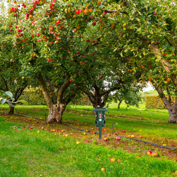 （自提可发加拿大，temu&tk下自提单）5种模式动物驱赶器 - 太阳能/USB充电，红外感应，覆盖面积3229平方英尺，IP54防水等级，驱赶啮齿动物、鸟类、蛇类及浣熊-9