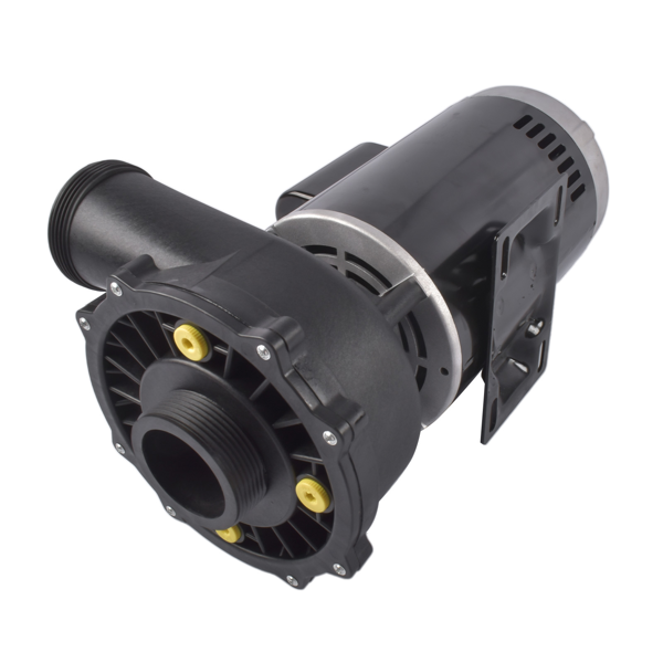 泳池水泵 Spa Pump 3721221-1D 56-Frame 3 HP 230 Volts 2-Speed with 2" Intake 2" Discharge-4