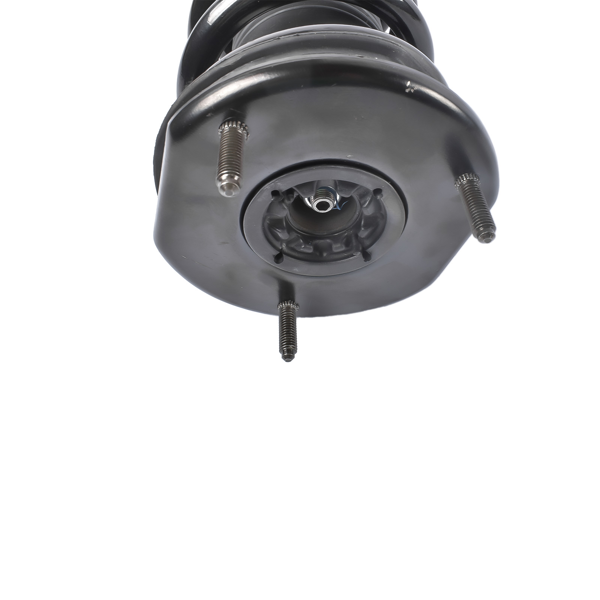 减震器 Front Left or Right Coil Spring Shock Strut Assy Fits for Tesla Model S AWD 75D 85D 90D 2015-2019 1030607-00-C-5