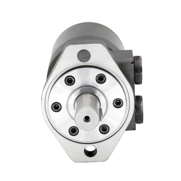 液压马达 Hydraulic Low Speed High Torque Orbital Motor 160CC 344rpm 58LPM 14Mps Bi-rotate-6