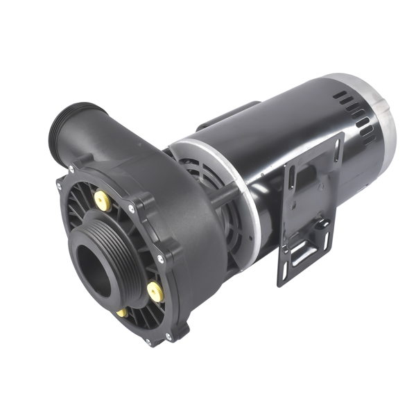 泳池水泵 4 HP 230V 2-Speed Executive 56 Frame Spa Pump Black Side Discharge 3721621-13-7