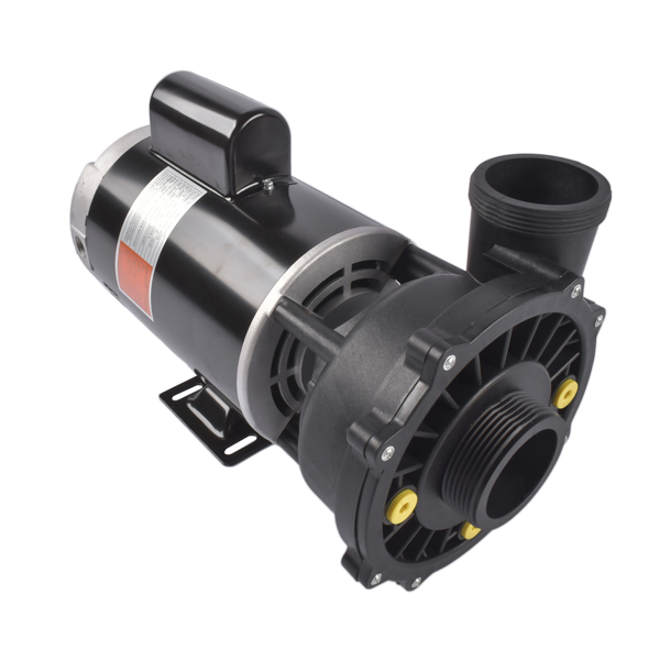 泳池水泵 Spa Pump 3721221-1D 56-Frame 3 HP 230 Volts 2-Speed with 2" Intake 2" Discharge-2