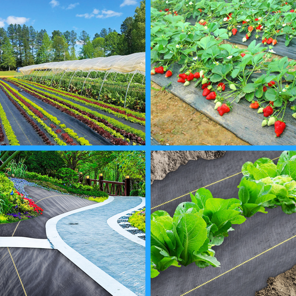 XISHAN 3'X300' 黑色HDPE70克重防草布-14