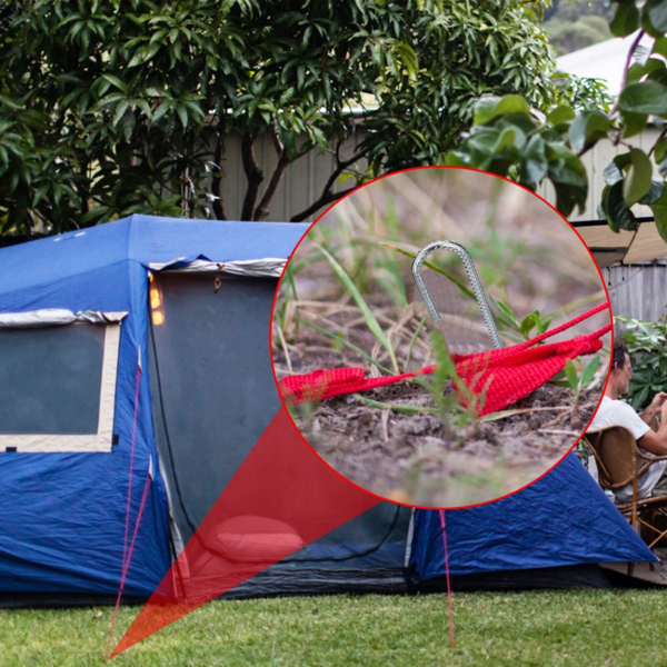 12英寸凉亭帐篷钉8pcs-9