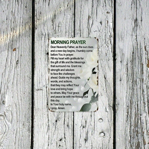 CIFbuy8x12 英寸 ( 20.3x30.5cm )铝合金标牌（TikTok、temu下自提）-6