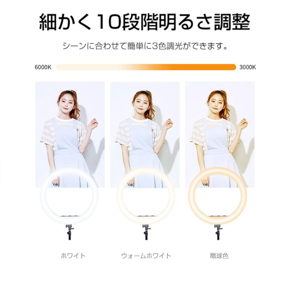 补光灯 反折叠 10寸灯+云台+软管手机夹+手机夹+170cm灯架-7