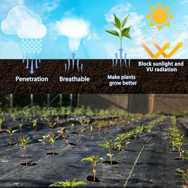 XISHAN 3'X300' 黑色HDPE70克重防草布-9