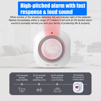 烟雾报警器家庭消防安全系统烟雾报警器 (物流仅支持发USPS，TK/TEMU仅自提)