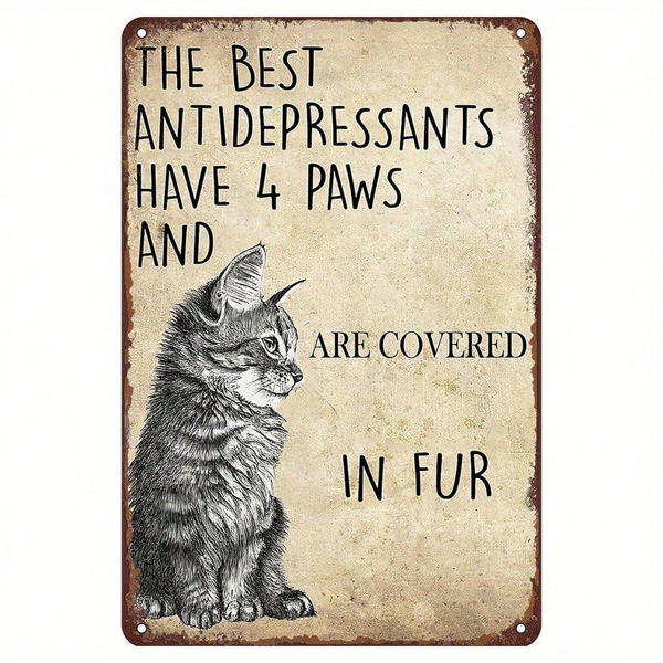 CIFbuy8x12 英寸 ( 20.3x30.5cm )复古风趣味铝合金标牌（TikTok、temu下自提）-1