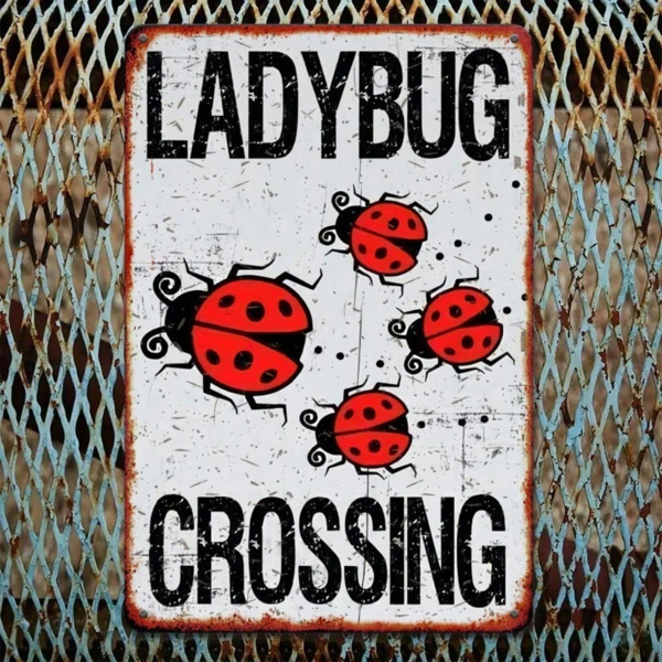 CIFbuy8x12 英寸 ( 20.3x30.5cm )复古风乡村风铝合金标牌Ladybug（TikTok、temu下自提）-7