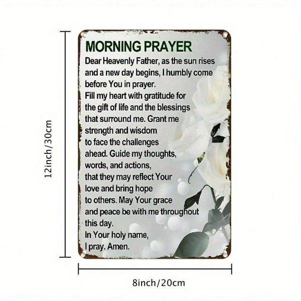 CIFbuy8x12 英寸 ( 20.3x30.5cm )铝合金标牌（TikTok、temu下自提）-3