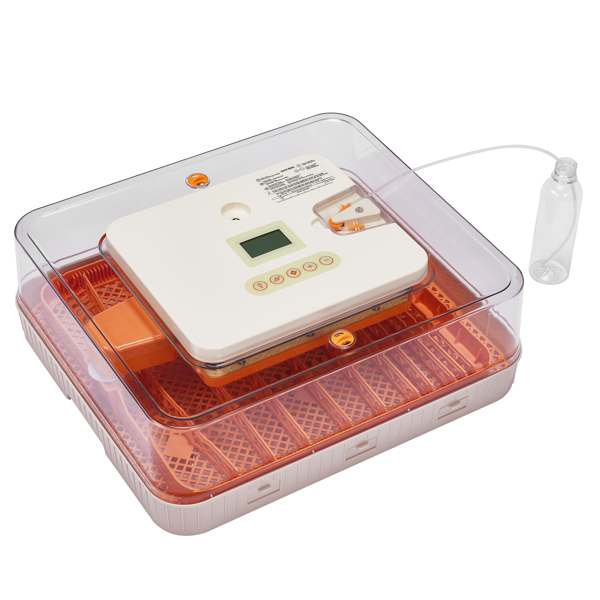 56H 美规 孵化器 110V 85W 56枚  ABS+PET 橙白机身透明上盖 LED照蛋功能升级 全自动翻蛋 温湿华氏度双显 自动控温控湿 多功能卡条蛋盘-3