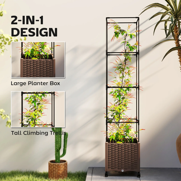 植物架、花架（周末不发货-6