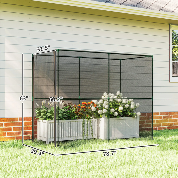 植物架、花架（周末不发货-6