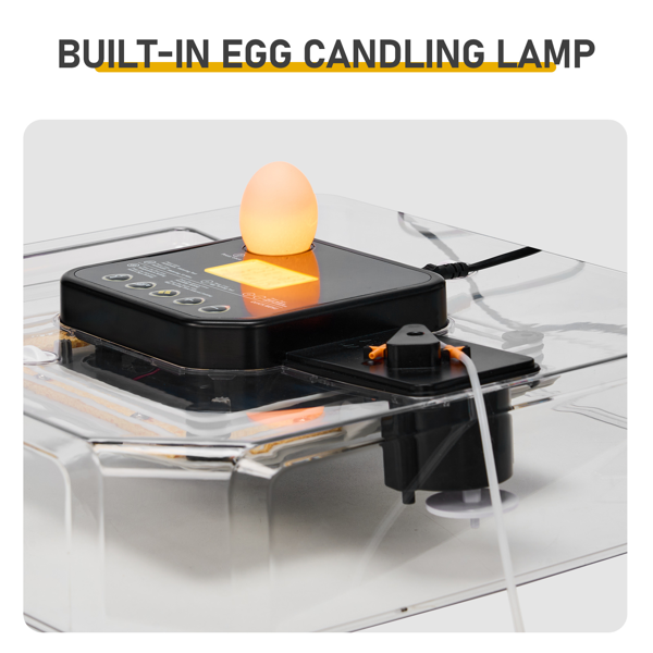 48H Pro 美规 孵化器 110V 85W 48枚  ABS+PET 灰白机身透明上盖 LED照蛋功能升级 全自动翻蛋 温湿华氏度双显 自动控温控湿 上盖储物盒设计-5