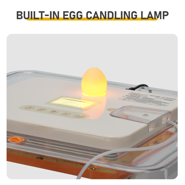 56H 美规 孵化器 110V 85W 56枚  ABS+PET 橙白机身透明上盖 LED照蛋功能升级 全自动翻蛋 温湿华氏度双显 自动控温控湿 多功能卡条蛋盘-7