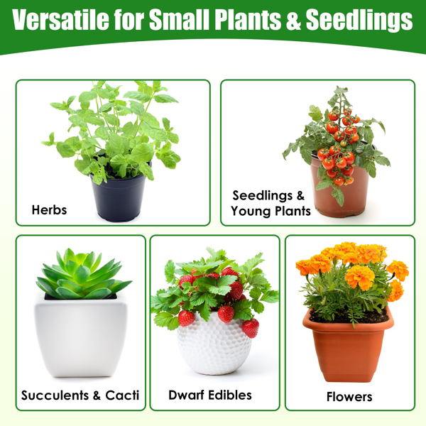 （自提可发加拿大，temu&tk下自提单）28.94×21.46×27.76 英寸桌面迷你温室，带拉链门紧凑型育苗棚，免工具安装可移动花房 适用于窗台阳台都市园艺，PVC 防水罩钢架结构 专为种子发芽培育设计-4