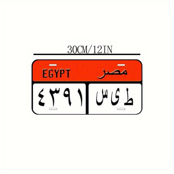 CIFbuy迈阿密海滩佛罗里达公路标志 金属墙饰 纪念品装饰 （TikTok、temu下自提）-3