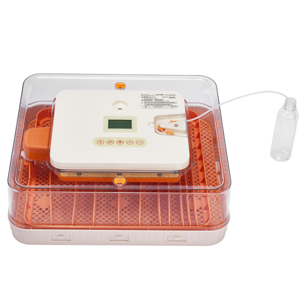 56H 美规 孵化器 110V 85W 56枚  ABS+PET 橙白机身透明上盖 LED照蛋功能升级 全自动翻蛋 温湿华氏度双显 自动控温控湿 多功能卡条蛋盘-4