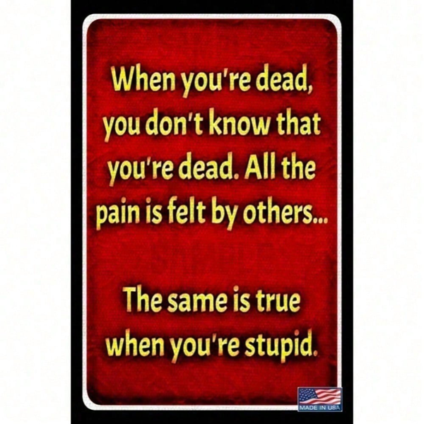 CIFbuy复古愚蠢金属锡标志墙艺 客厅车库酒吧装饰 TikTok、temu下自提-4