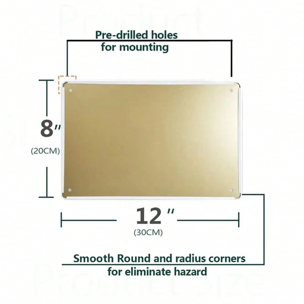 CIFbuy带摄像头监控禁止闯入标志美观家居金属墙装饰(TikTok、temu下自提)-5