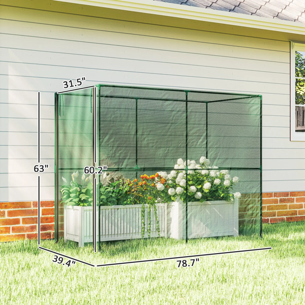 植物架、花架（周末不发货-8