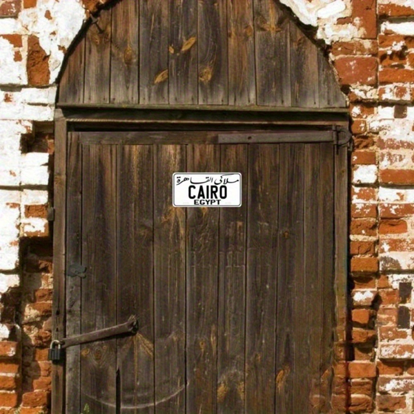 CIFbuy通用8x12英寸金属标牌 多功能室内外装饰 定制复古标志 家居商铺礼物（TikTok、temu下自提）-5