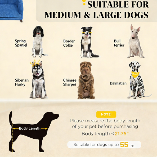 狗床/宠物沙发-4