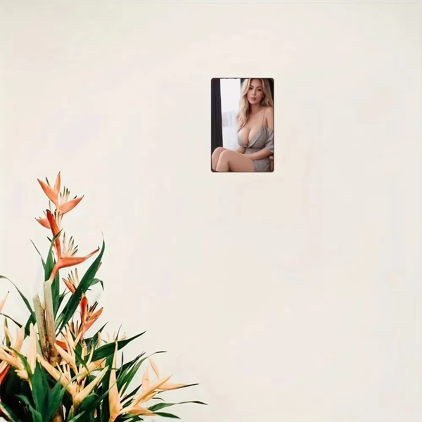 CIFbuy优雅黑白女性剪影铝装饰板20x30英寸餐厅花园咖啡馆墙饰（TikTok、temu下自提）-2