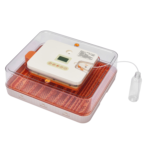 56H 美规 孵化器 110V 85W 56枚  ABS+PET 橙白机身透明上盖 LED照蛋功能升级 全自动翻蛋 温湿华氏度双显 自动控温控湿 多功能卡条蛋盘-1