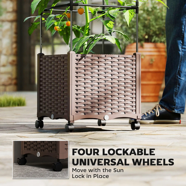 植物架、花架（周末不发货-8