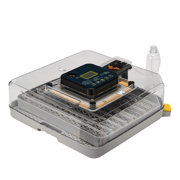 48H Pro 美规 孵化器 110V 85W 48枚  ABS+PET 灰白机身透明上盖 LED照蛋功能升级 全自动翻蛋 温湿华氏度双显 自动控温控湿 上盖储物盒设计-3