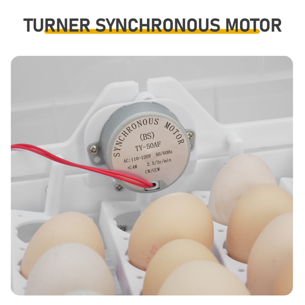 112枚家禽全自动孵化器孵蛋机 照蛋器 注水器　单电源（美规）-8