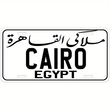 CIFbuy通用8x12英寸金属标牌 多功能室内外装饰 定制复古标志 家居商铺礼物（TikTok、temu下自提）