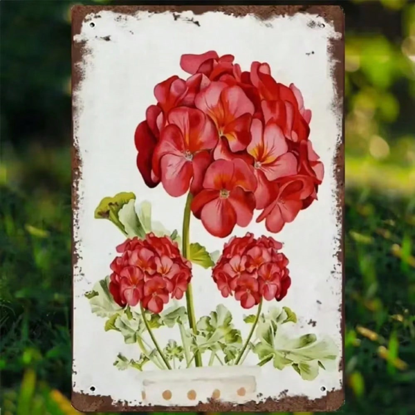 CIFbuy优雅复古天竺葵印花金属标牌 TikTok、temu下自提-9