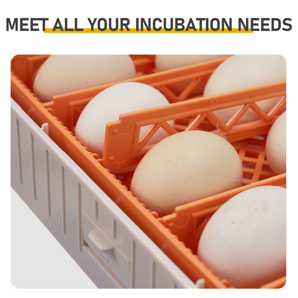 56H 美规 孵化器 110V 85W 56枚  ABS+PET 橙白机身透明上盖 LED照蛋功能升级 全自动翻蛋 温湿华氏度双显 自动控温控湿 多功能卡条蛋盘-10