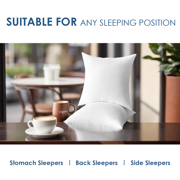 双只装大号抱枕芯，以实惠价格提供优质体验。严格控制的填充密度确保每一只都饱满挺括，使用寿命更长久。22英寸尺寸适合大多数标准枕套，是替换旧枕芯或新增抱枕的经济选择。-3