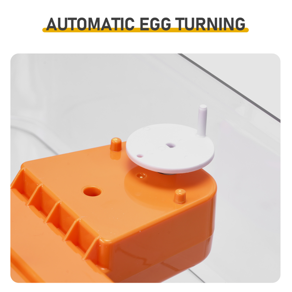 56H 美规 孵化器 110V 85W 56枚  ABS+PET 橙白机身透明上盖 LED照蛋功能升级 全自动翻蛋 温湿华氏度双显 自动控温控湿 多功能卡条蛋盘-8