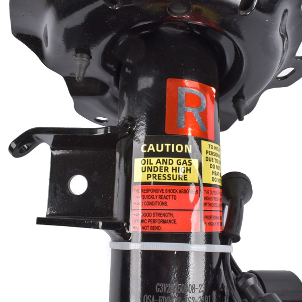 减震器 Front Right Shock Strut Assembly Electric Replacement For Lincoln Continental 2017-2020 AST24745 G3GZ18124P AST24742 G3GZ18124F-10