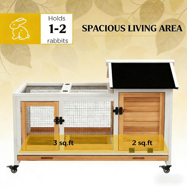 兔笼-2