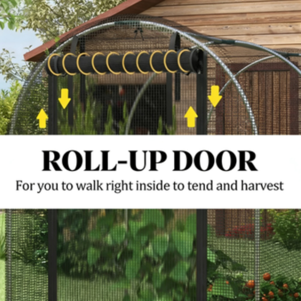 作物笼、花园植物保护器-3