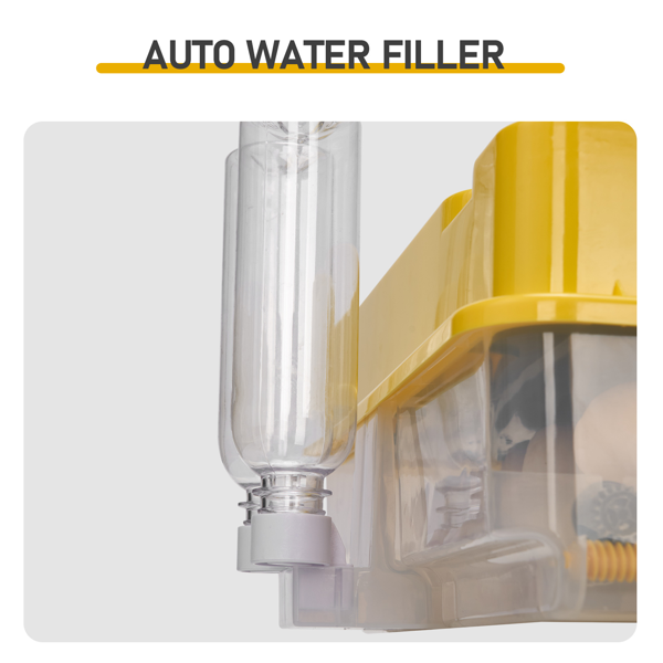 TW-24 美规 孵化器 110V 120W 方形24~36枚（单层） PP 黄色上盖透明机身  LED照蛋功能 全自动翻蛋 华氏度温湿度设置 天数设置 性价比款-3