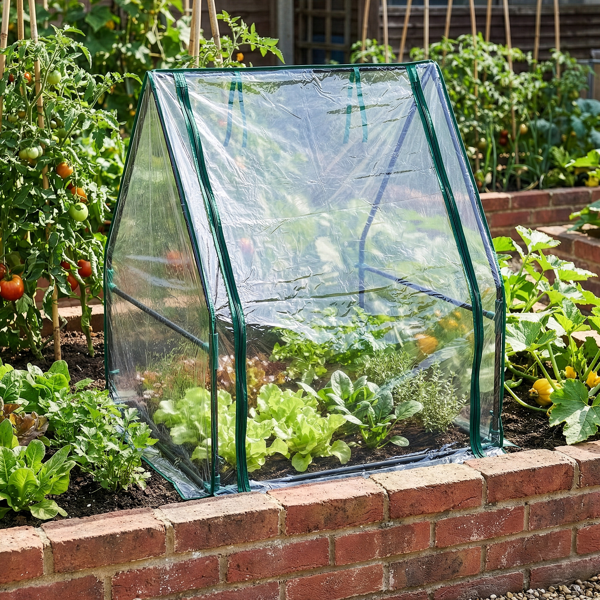 36*36*42in  透明PVC 墨绿色铁管 尖顶 带PE地垫 带拉链卷门-15