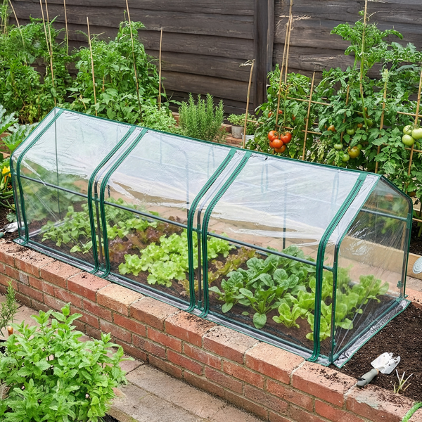 106*36*36in  透明PVC 墨绿色铁管 尖顶 三间 带三拉链卷门-22