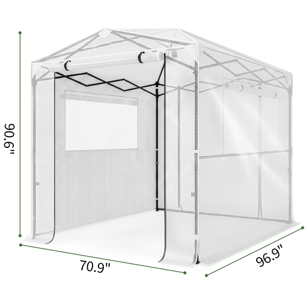 8*6FT PE布花房 白色PE布 黑底银花铁管  一键尖顶 两侧带双窗户 带对侧双拉链卷门 带地钉风绳-2
