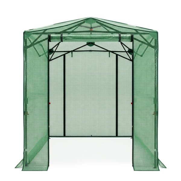 8*6FT PE布花房 绿色PE布 黑底银花铁管 一键尖顶 两侧带双窗户 带对侧双拉链卷门 带地钉风绳-8