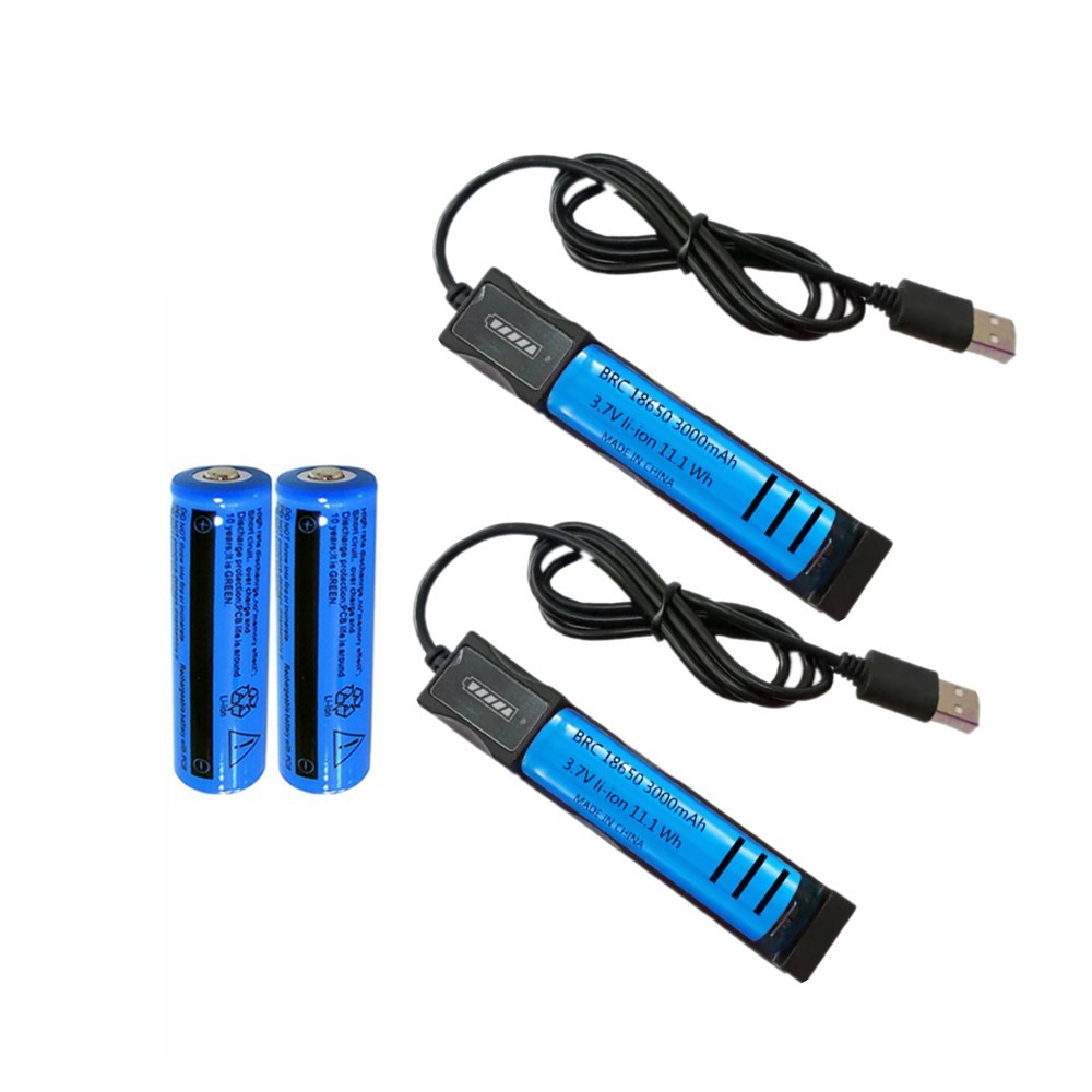 Rechargeable 18650 Battery Set With Dual Usb Battery Charger_voghion.com